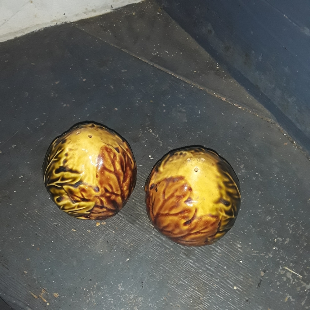 Fall large fat acorns with leaves salt and pepper